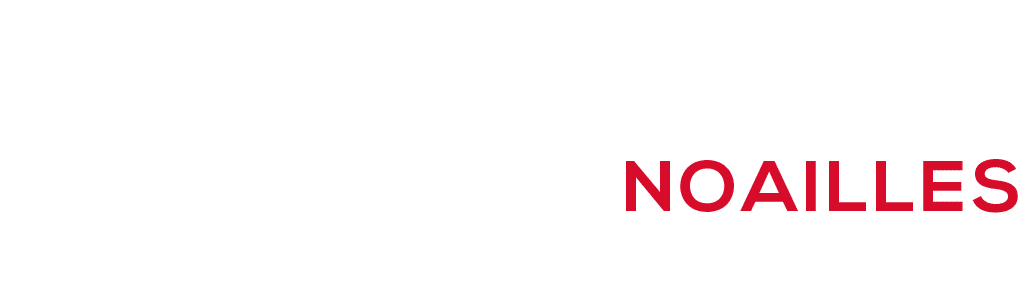 logo noir